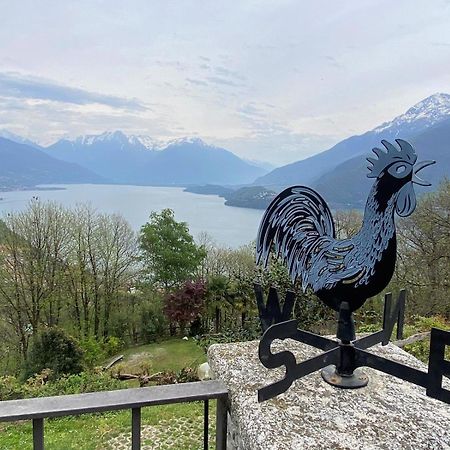 Pianello Del Lario The Happy Rooster - Villa With Big Garden מראה חיצוני תמונה